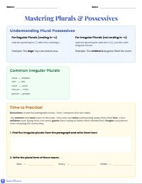 Mastering Plurals and Possessives