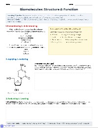 Mastering Biomolecules: Structure and Function