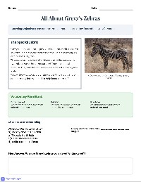 Grevy's Zebra Discovery