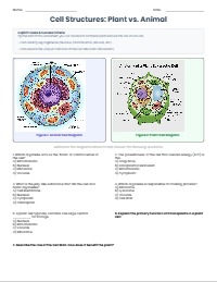 Exploring Plant and Animal Cell Structures