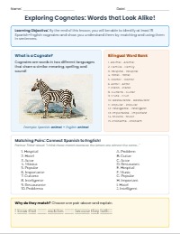 Discovering Spanish Cognates: Patterns and Connections