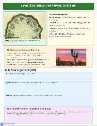 Plant Structure Survival Game