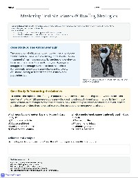 Reading Comprehension Skills Practice