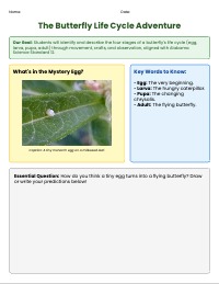 Butterfly Life Cycle Adventure