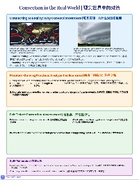 2.3.2 Convection