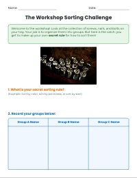Sorting Tray Investigation