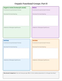 Organic Chemistry: Functional Groups and Isomers Organizer