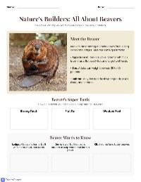 All About Beavers