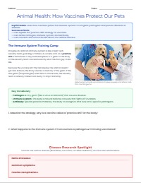 Understanding Animal Vaccinations and Health