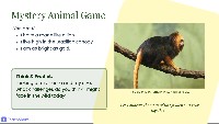 Analyzing "Saving the Golden Lion Tamarins"