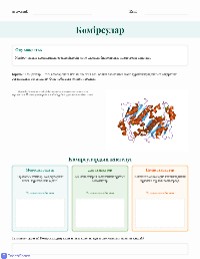 Көмірсулардың құрылымы мен қызметтері