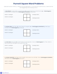 Foundations of Genetics: Punnett Squares