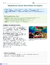 Morphological Analysis Assessment Worksheet