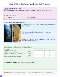 Detective Camp Training Guide