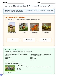 Animal Classification Worksheets