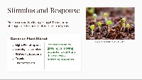 Plant Survival and Behavior