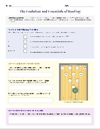 Bowling Review Packet