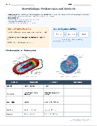 BIO I - Ch 23 Review