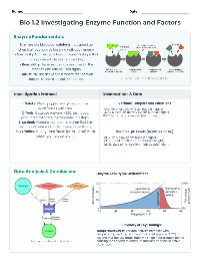 Investigating Enzyme Function