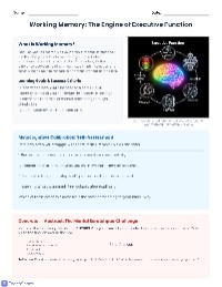 Working Memory Mastery