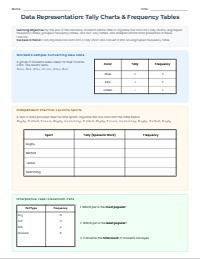 Mastering Data Collection and Representation
