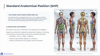 The Anatomical Reference Map