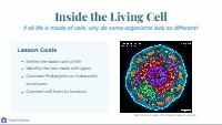 Comparing Prokaryotic and Eukaryotic Cellular Structures