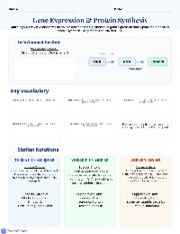 Understanding Gene Expression and Protein Synthesis