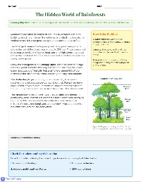 Exploring the Layers of Rainforests