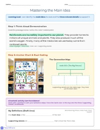 Mastering Main Idea and Supporting Details