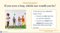 Little Explorers: The World of Insects