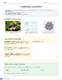 2D Shape Symmetry Explorer