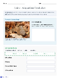 Animal Adaptations Vocabulary Fun