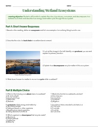 Energy Dynamics in Texas Wetland Ecosystems
