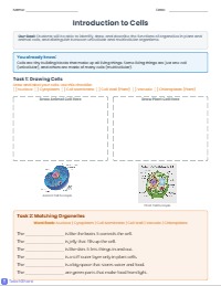 Exploring Plant and Animal Cell Structures