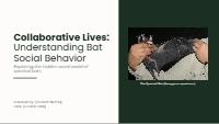 Collaborative Lives: Understanding Bat Social Behavior