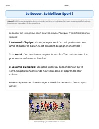 Évaluation Modifiée : Le Soccer