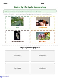 Butterfly Life Cycle Sequencing Cards