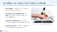 Microorganism Marvels: An Introduction