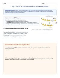 Biological Macromolecules: Building Blocks of Life
