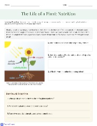 Understanding Plant Nutrition and Growth