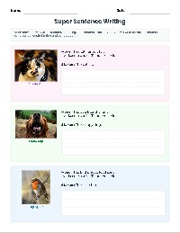 Complete Sentence Writing Practice