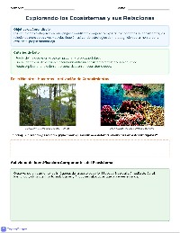 Explorando Ecosistemas en Parejas