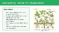 Plant Systems Overview