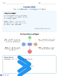 Understanding Gliders and Flight