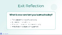 Review & Reflect