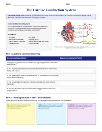 The Cardiac Conduction System: Anatomy and Physiology