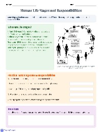 Human Life Stages and Responsibilities