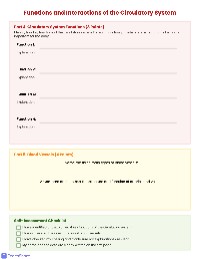 Circulatory System Assessment
