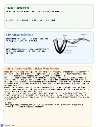 Overview of Animal Tissues